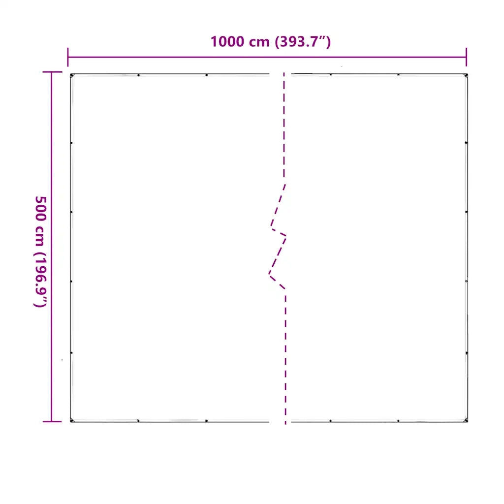 Telone Trasparente con Occhielli 5x10 m in PVC 4018615