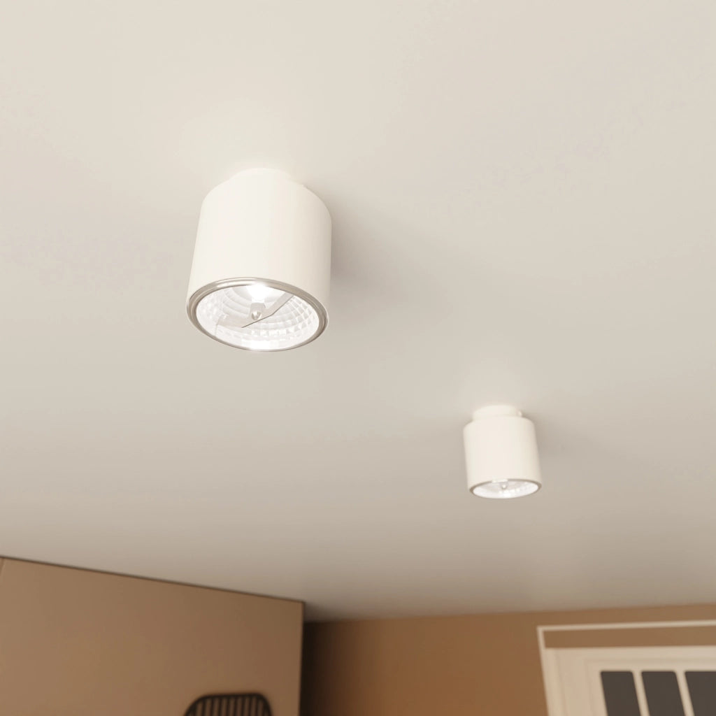 Plafoniera Moderna 1 Luce Faretto Ptah In Acciaio Bianco