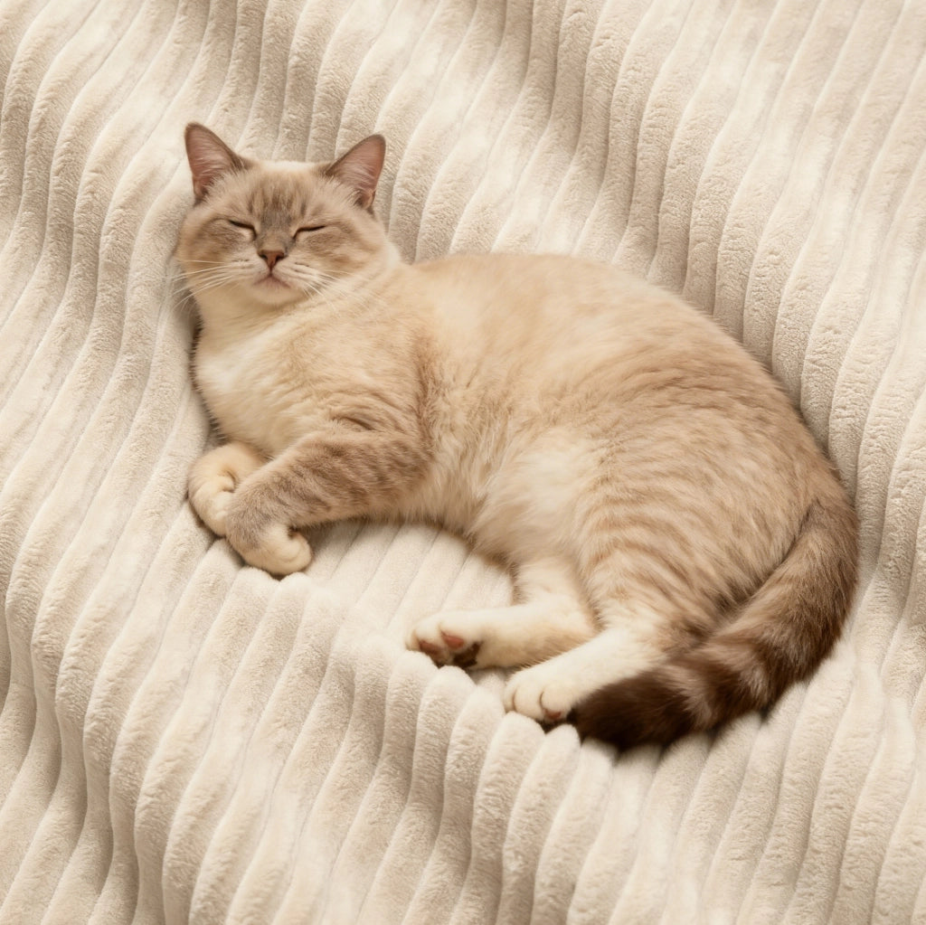 Divano modulare con seduta profonda in corduroy beige