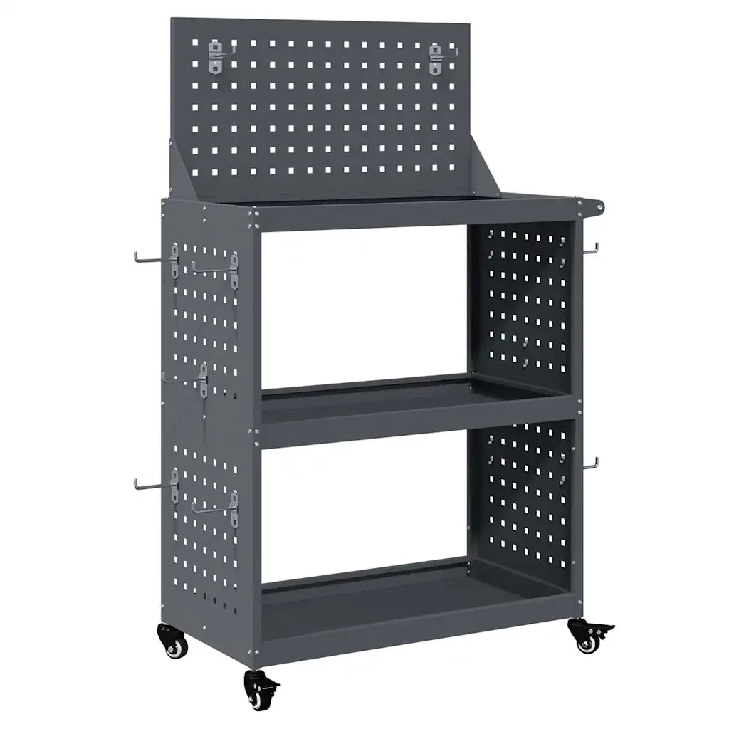 Carrello per Attrezzi con ruota Antracite 65 x 35 x 111 cm 874548