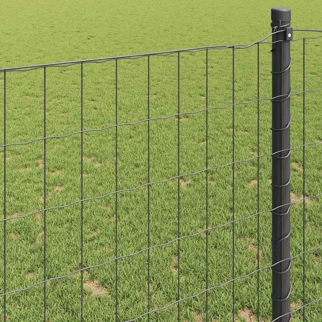 Recinzione Euro Grigio 1,5 x 10 m Ferro rivestito in PVC 42004496