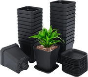 24 pezzi di vaso per piante da 7 cm con sottopiano per piante e piante grasse - nero