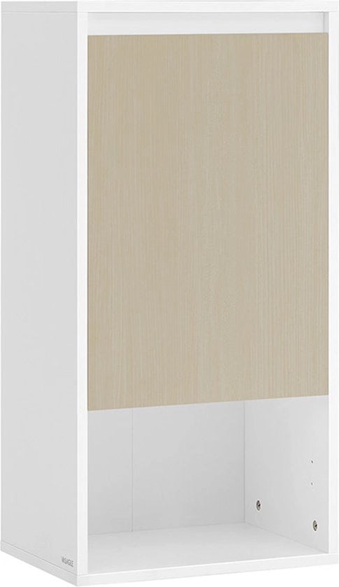 Cassettone da bagno appeso – Con porta e piastra regolabile