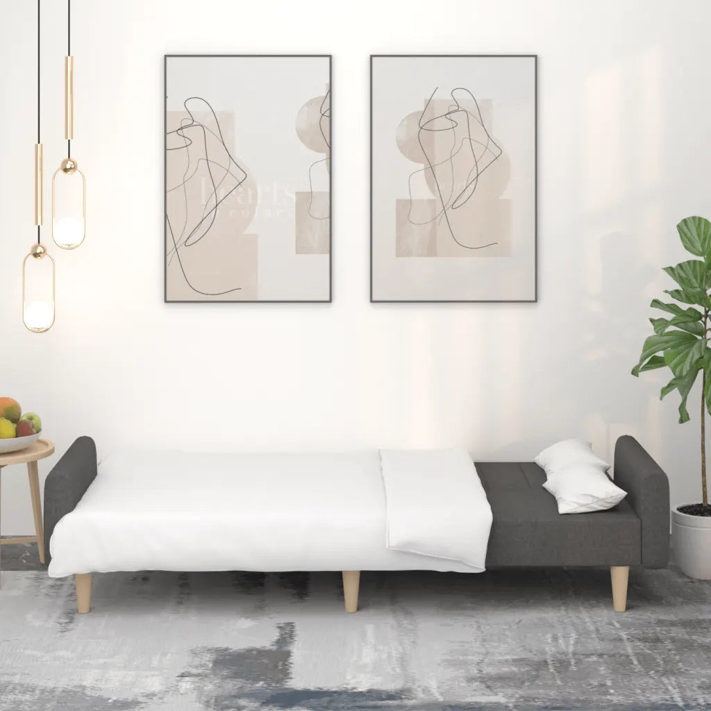 Divano letto | Sof¨¤ letto | Letto singolo a 2 Posti Grigio Scuro in Tessuto