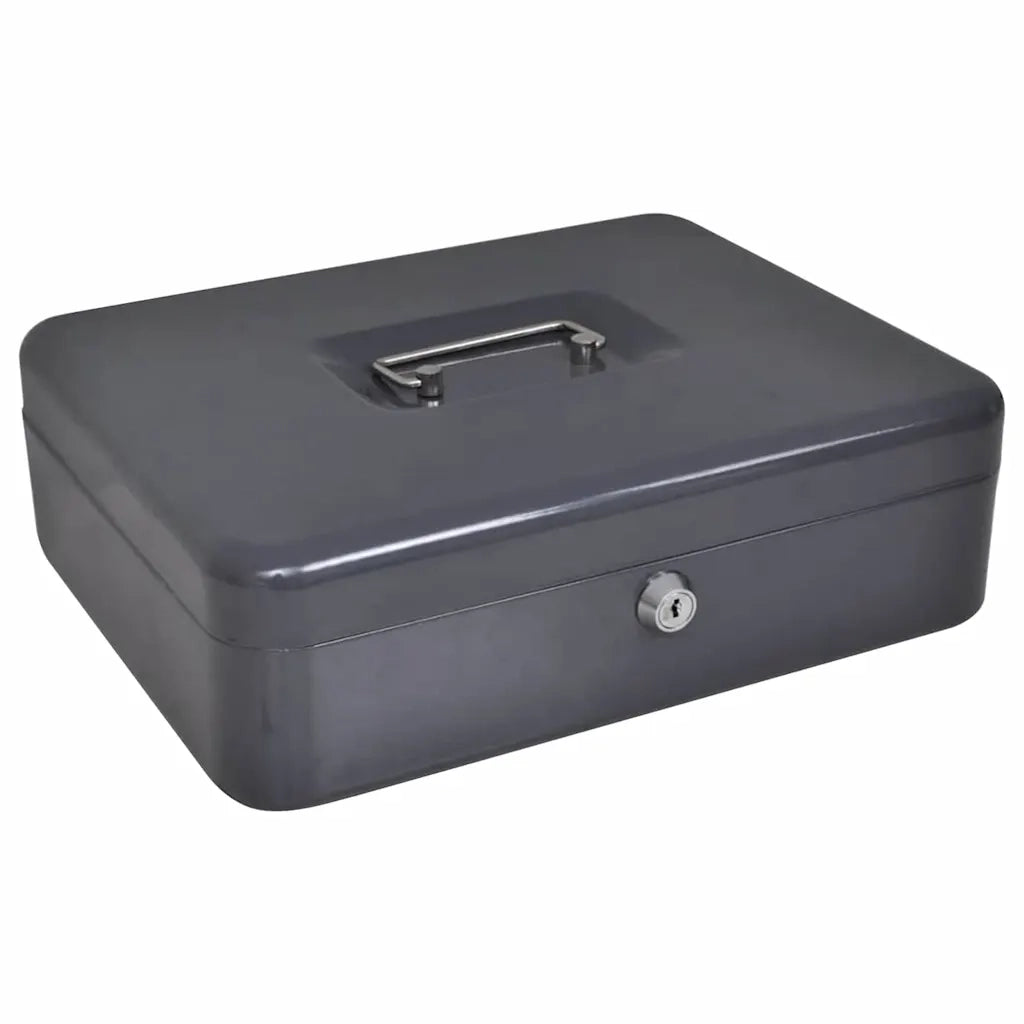 Scatola per Contanti Grigio scuro 30 x 24 x 9 cm Acciaio CFW2578882