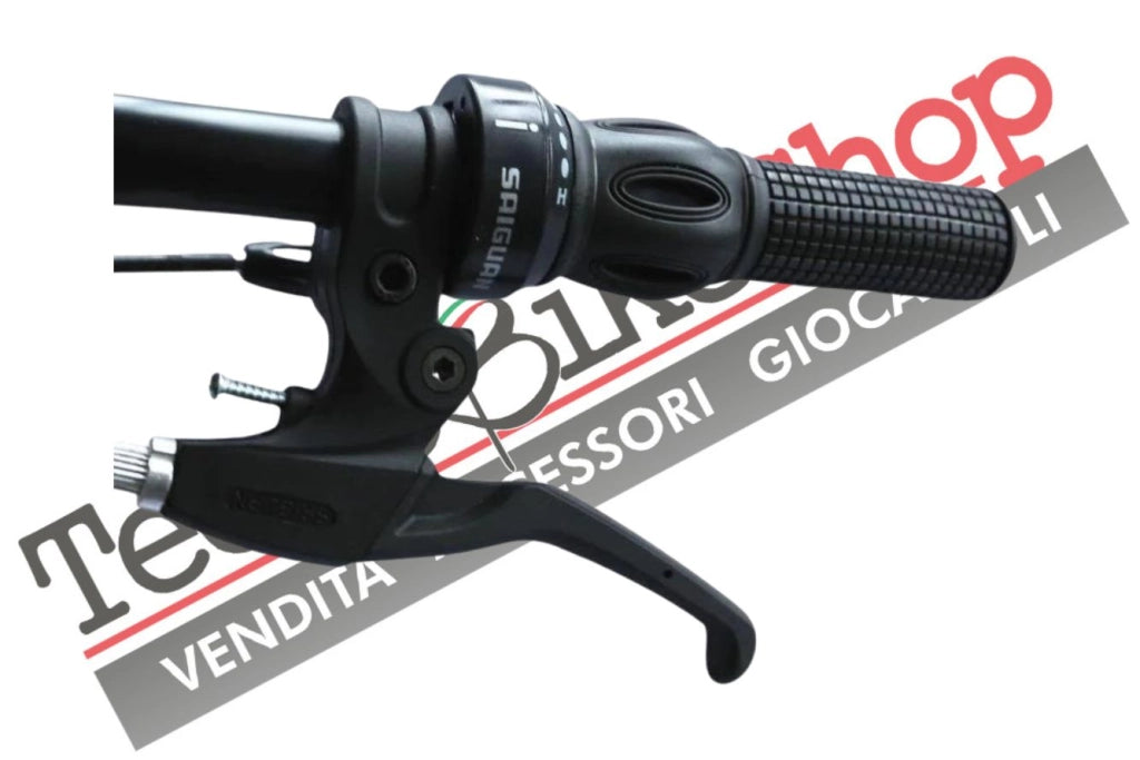 Bicicletta Pieghevole Masciaghi Coppi Carbike  20" con Cambio 6 Velocità