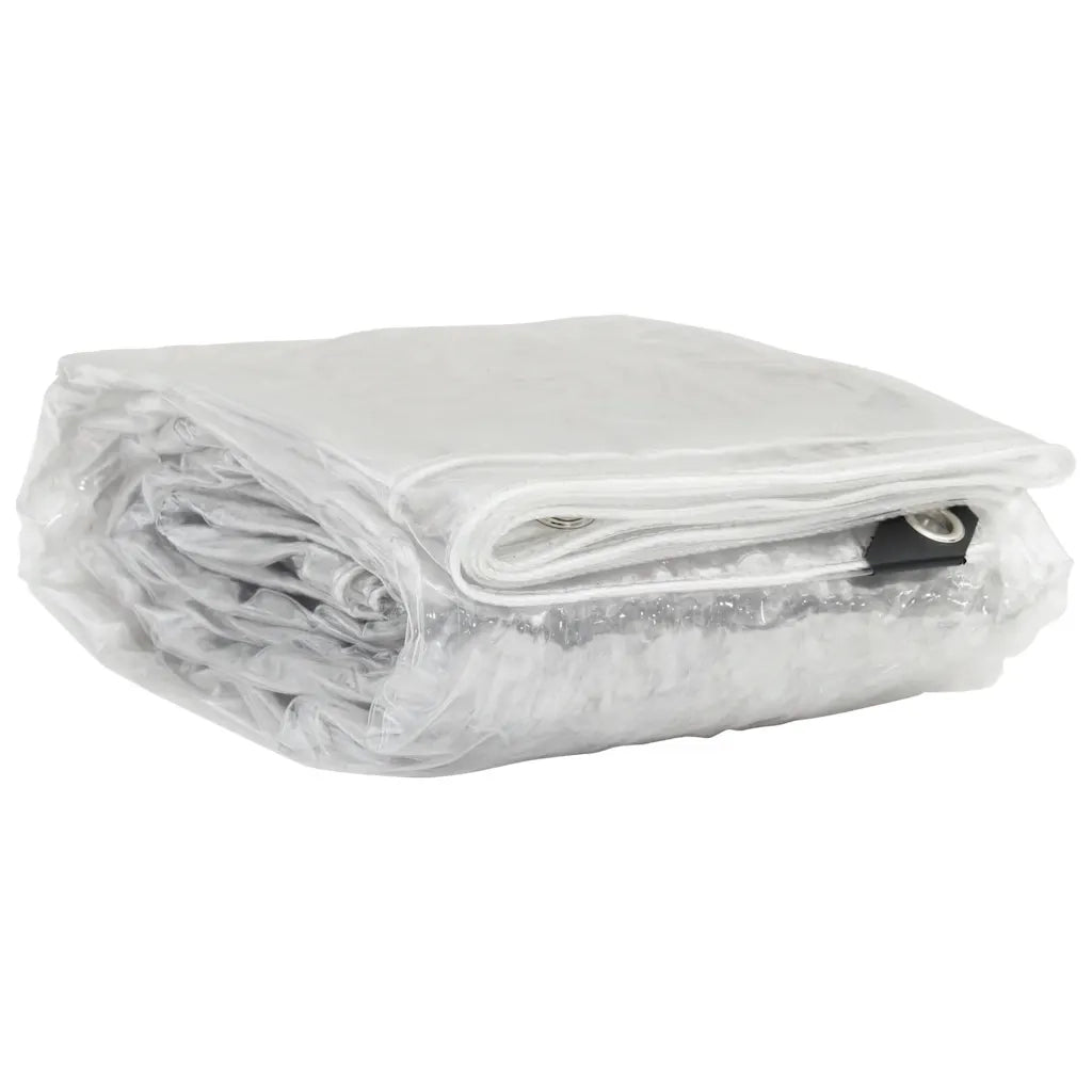 Telone Trasparente con Occhielli 3x10 m in PVC 4018604
