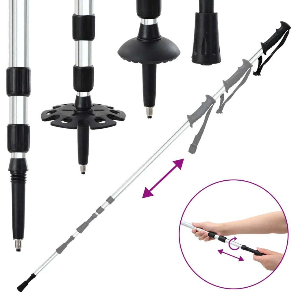 Racchette da neve 3 in 1 con bastoni da trekking Argento e Nero 42021429