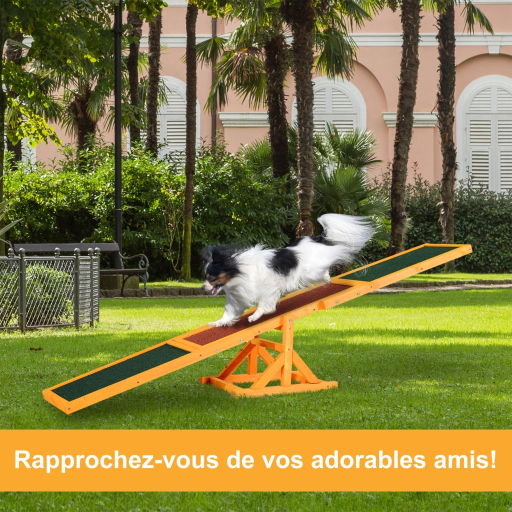 Bascula per Cani Agility ¨C Xylo ¨C Legno Pre-Oliato Feltro Bitumato Antiscivolo