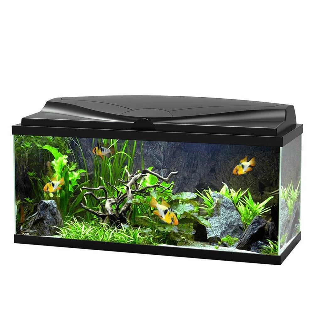 Ciano Acquario Aqua 80 LED cm80x30x41,5h Colore: Nero