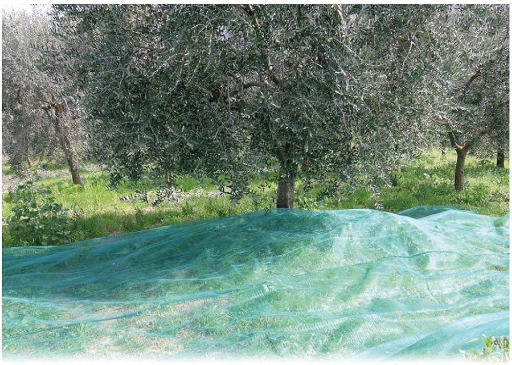 RETE PER RACCOLTA OLIVE 'ANTISPINE' IDEAL STAR telo 8x8 mt - IDEAL STAR