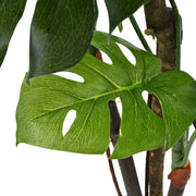 Pianta Artificiale di Monstera con Vaso 70 cm Verde 245945