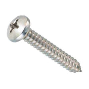 VITE AUTOFILETTANTE TC ZINCATA 4,2x22 mm - 1000 pezzi- AMBROVIT