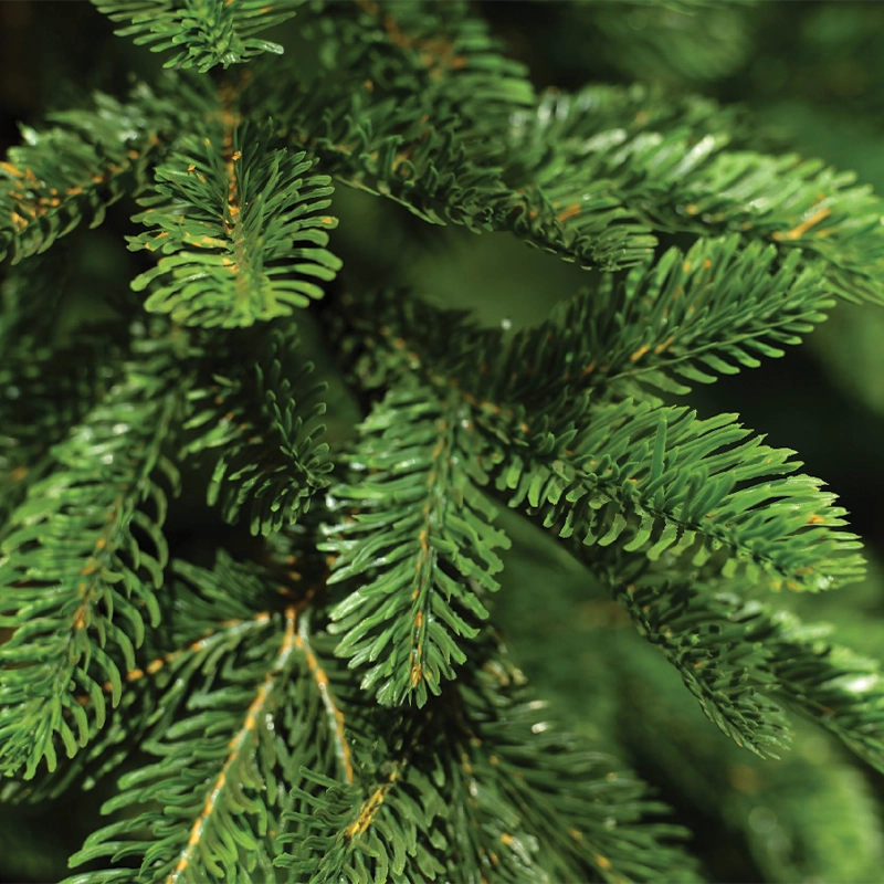Albero di Natale Alpine 75 x H 300 cm