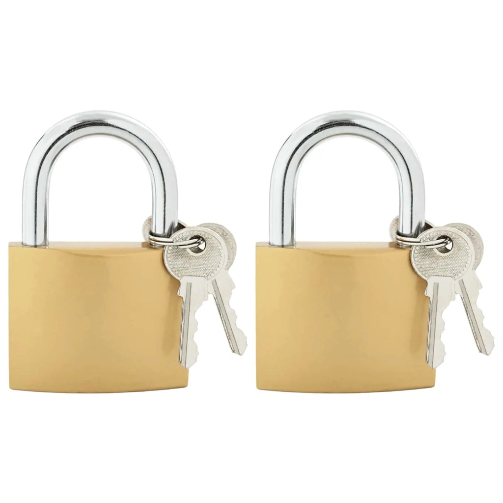 U Lock con Chiavi 2 pz Ottone Ferro CFW9914435