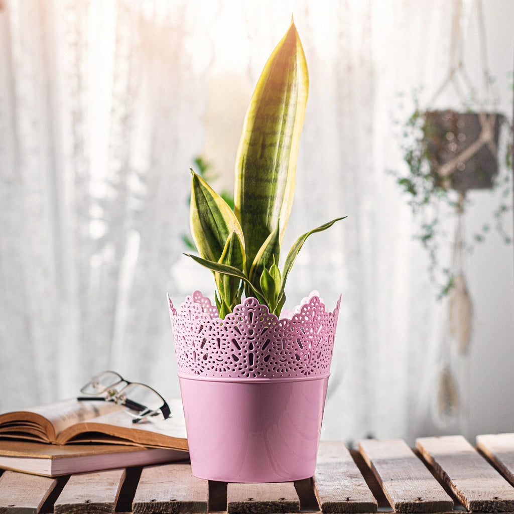 Vaso da fiori KADAX, vaso da fiori, coperchio alto, supporto per fiori, ciotola lucida, 14,5 cm, rosa