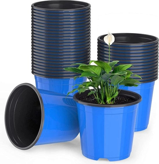 50 pezzi di vasi per semi in plastica blu, leggeri, per piantine e contenitori per piante (15 x 13 cm)