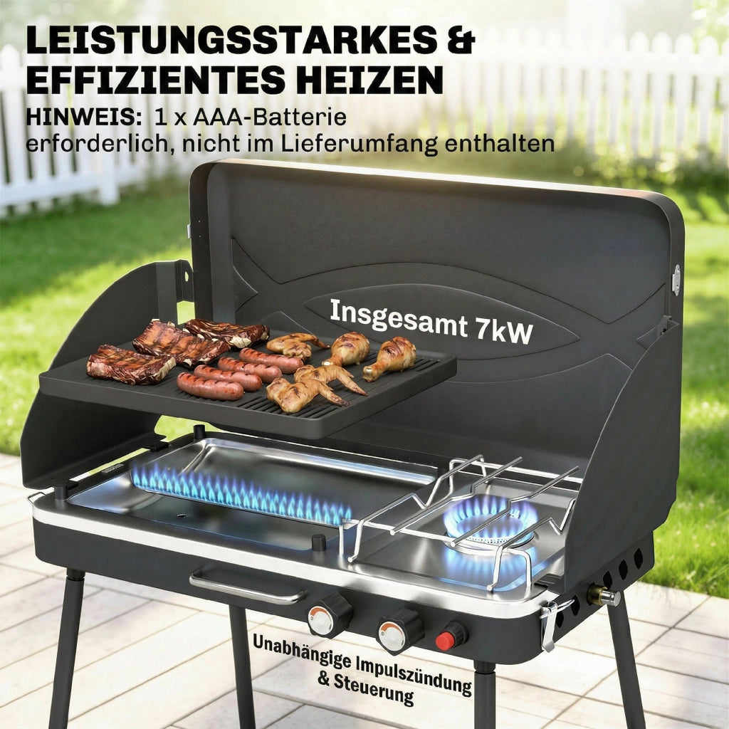 Barbecue a gas portatile 2 bruciatori 7 kW ¨C Minimal ¨C grigio