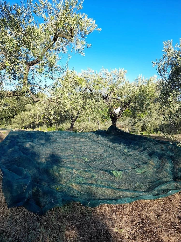 RETE PER RACCOLTA OLIVE 'ANTISPINE' IDEAL STAR telo 8x8 mt - IDEAL STAR