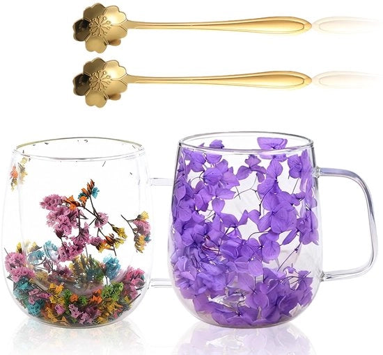 Set di bicchieri in vetro a doppia parete da 2 con fiori essiccati - 350 ml