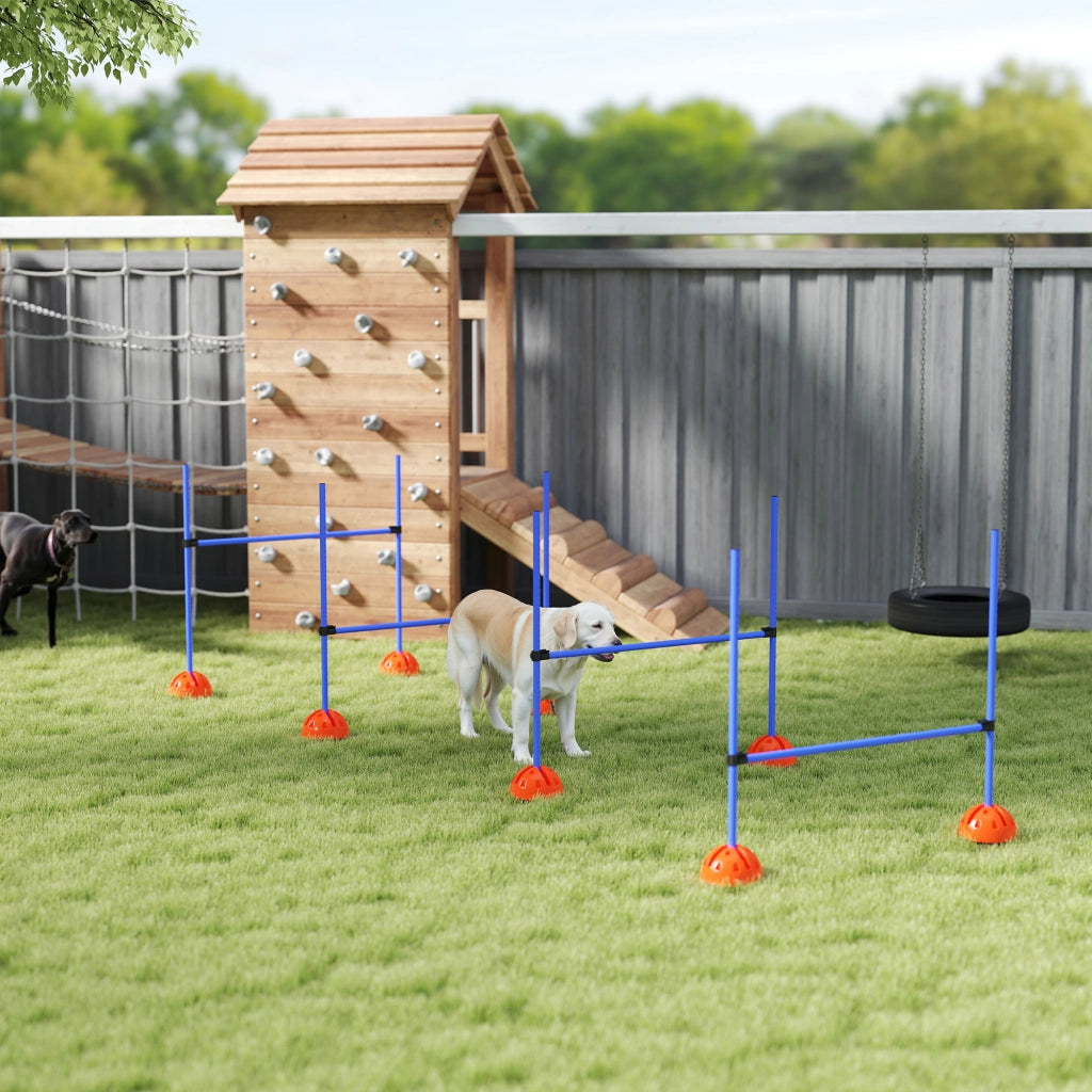 Set Agility per Cani con 4 Ostacoli e Borsa ¨C Zephmum ¨C Blu