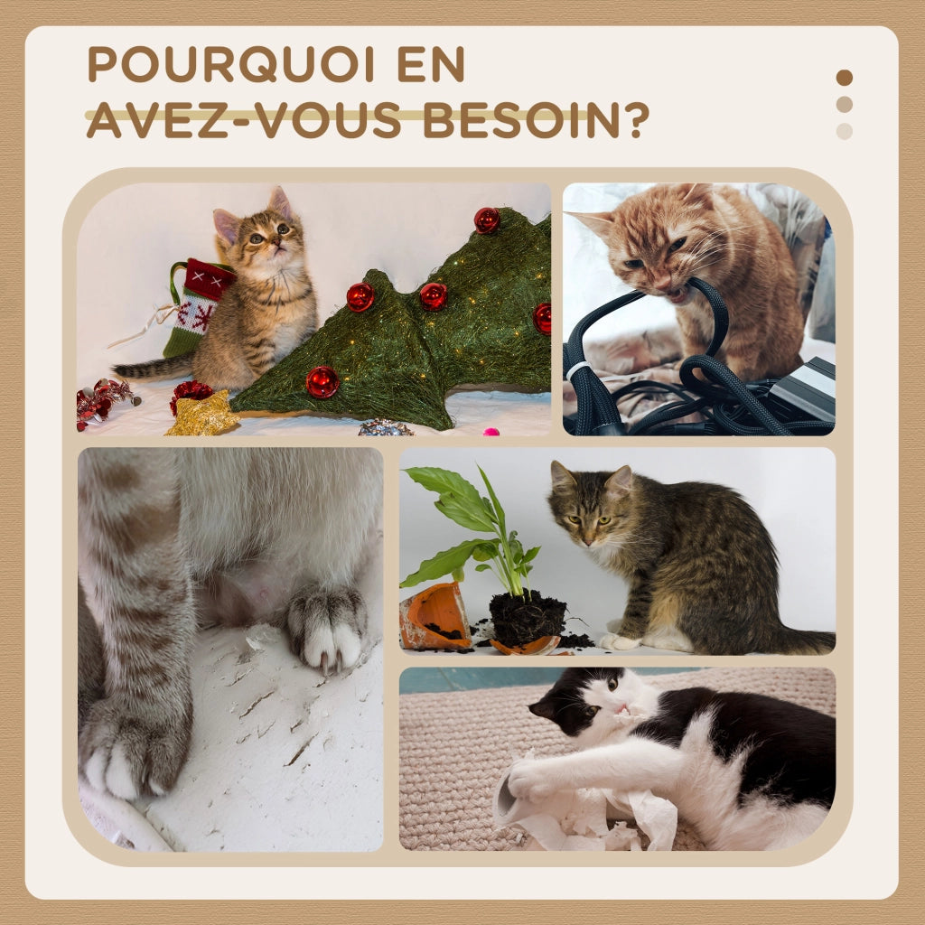 Arbre ¨¤ chat ¨C Minimal ¨C sisal naturale con piattaforme e cesto
