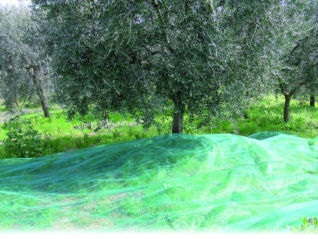 Confine RETE PER OLIVE ANTISPINE CON SPACCO  mt. 8x8