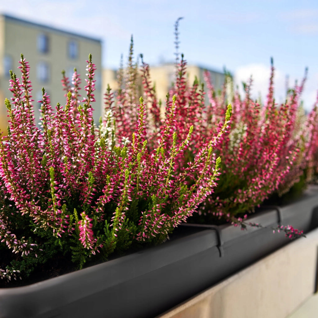 Vaso da fiori rettangolare KADAX per balcone, 80 cm, con supporto e manici.