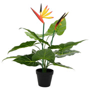 Pianta Artificiale Strelitzia Verde 65 x 13 x 55 cm CFW9009222