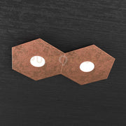HEXAGON APPLIQUE-PLAFONIERA 2 LUCI FOGLIA RAME 1142-2L-FR
