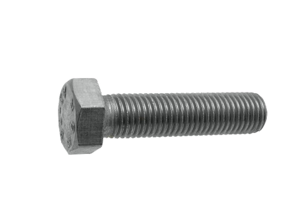 BULLONE T.E. INOX 12x50 - 50 pezzi