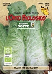 SEMENTI CICORIA PAN DI ZUCCHERO