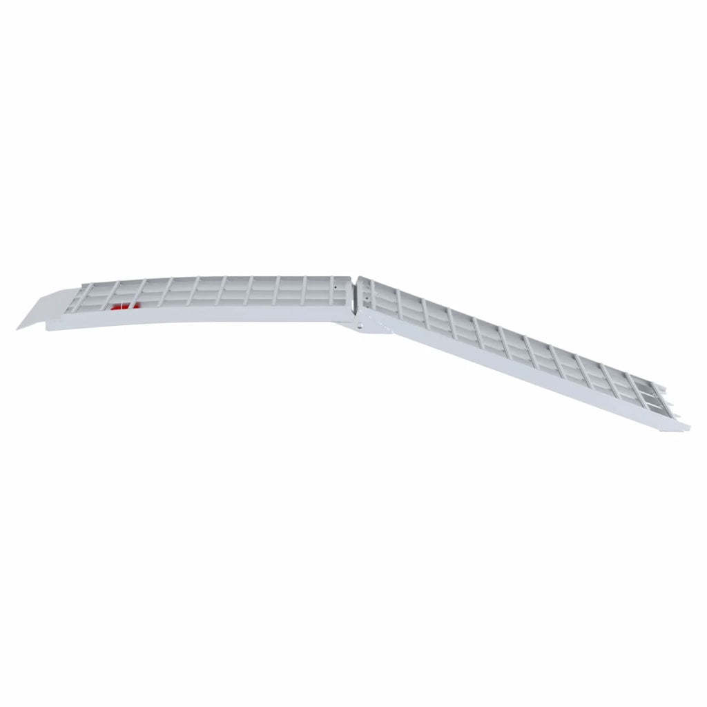 Rampetta per moto 680 kg Argento 680 kg Alluminio 42021090