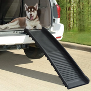 Rampa per Cani Pieghevole Nera 155,5x40x15,5 cm 170987