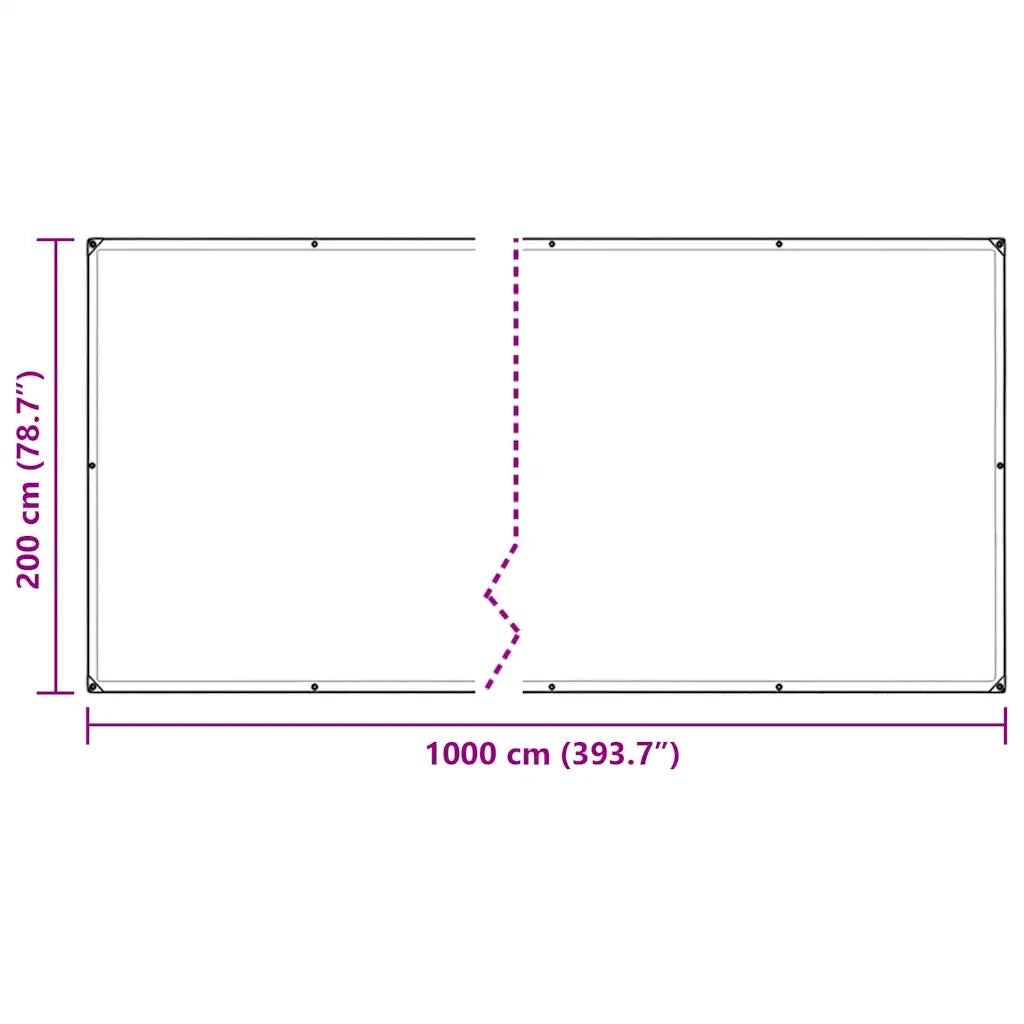 Telone Trasparente con Occhielli 2x10 m in Polietilene