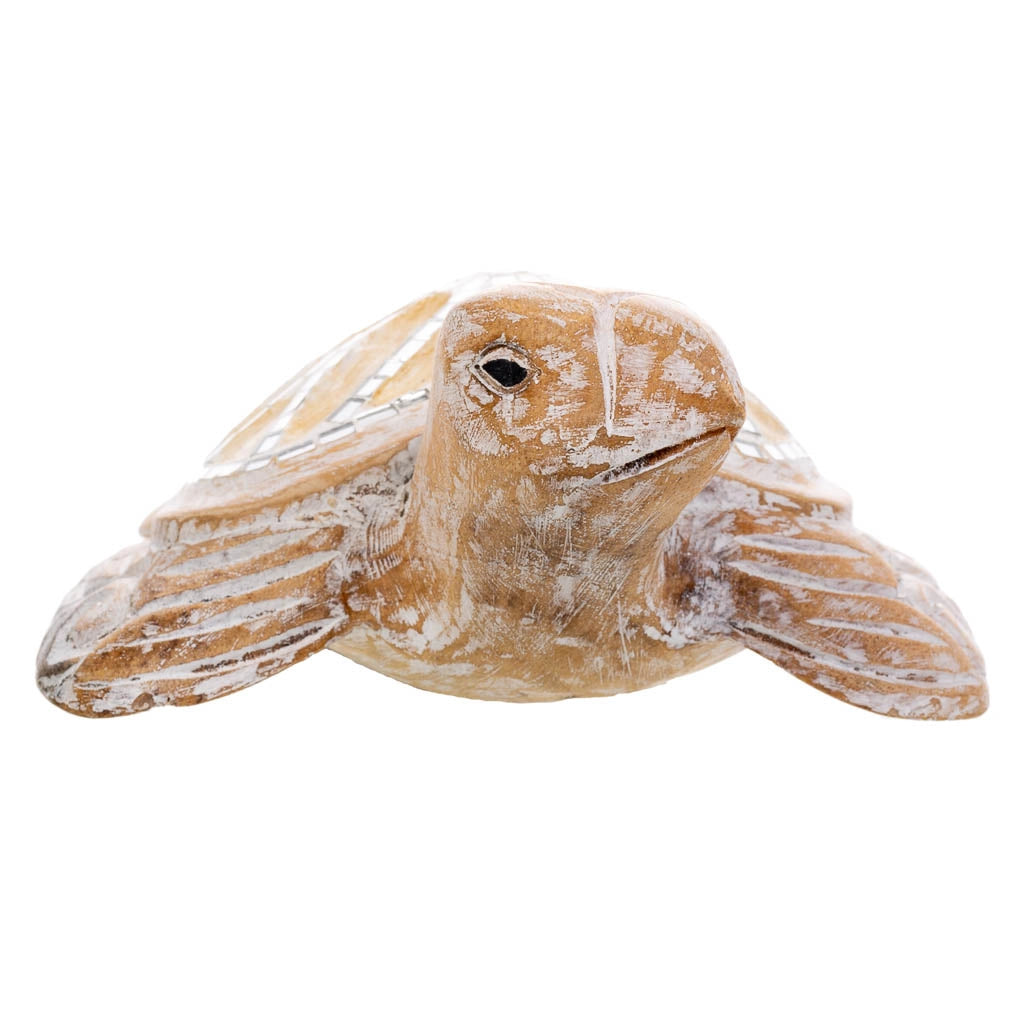 Figura tartaruga 31x20x8h