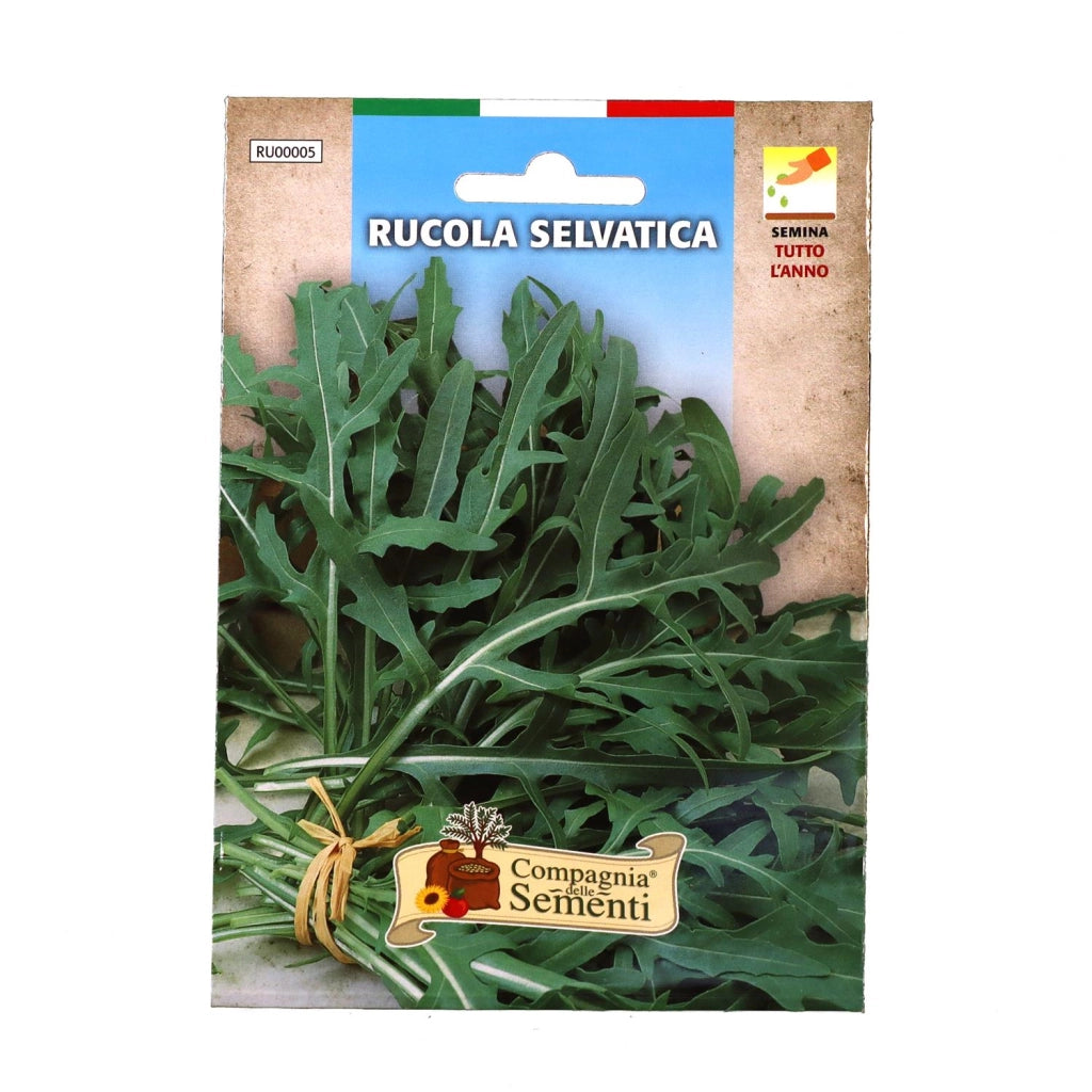 BUSTA SEMENTI RUCOLA SELVATICA