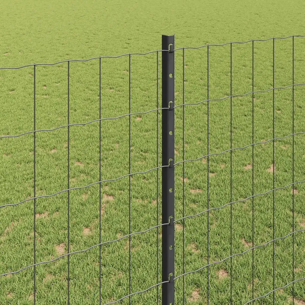 Recinzione da Giardino | Recinzione con Posto Grigio