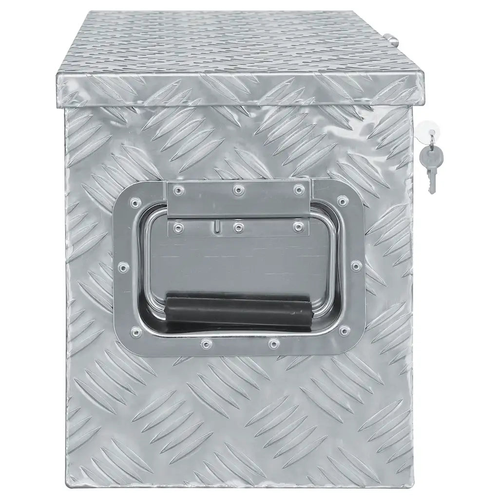 Cassetta in Alluminio 80x30x35 cm Argento 142939