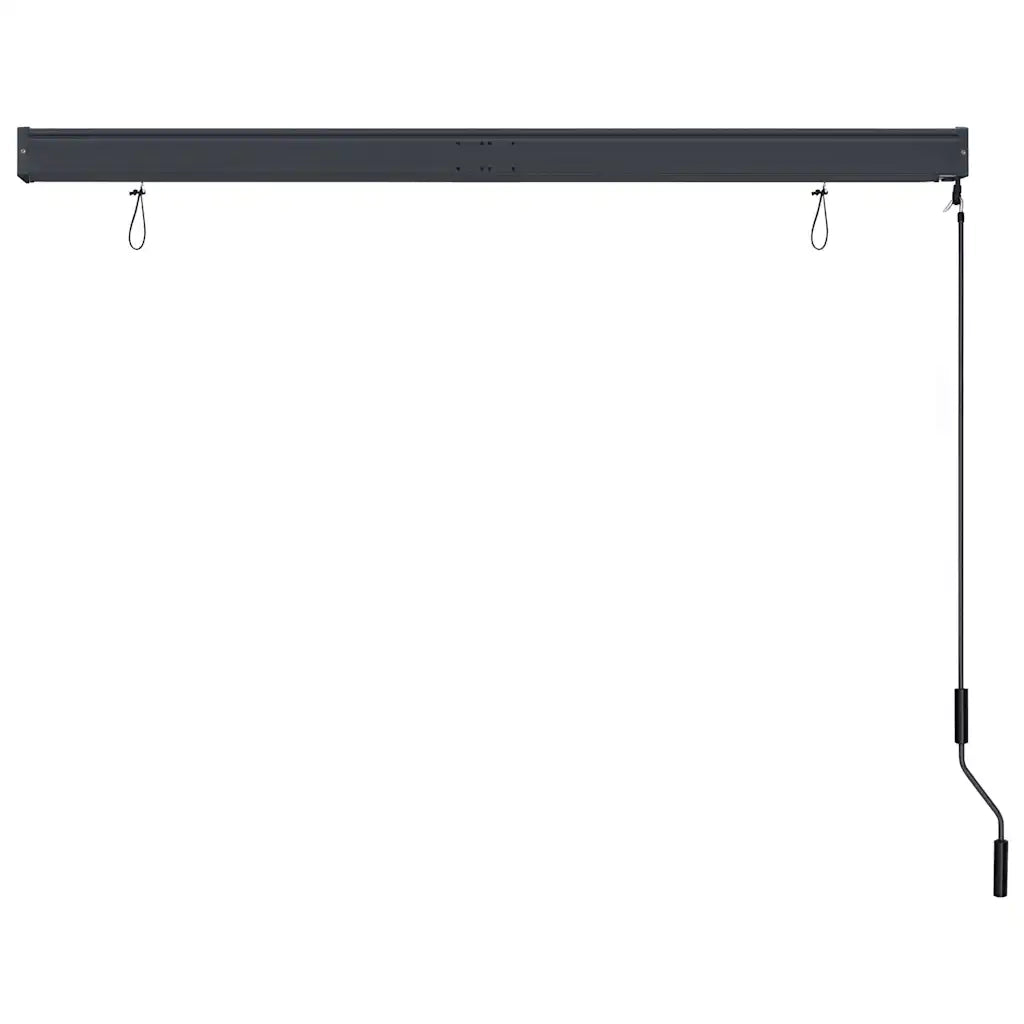 Tenda a Rullo per Esterni 160x250 cm Antracite cod mxl 68273