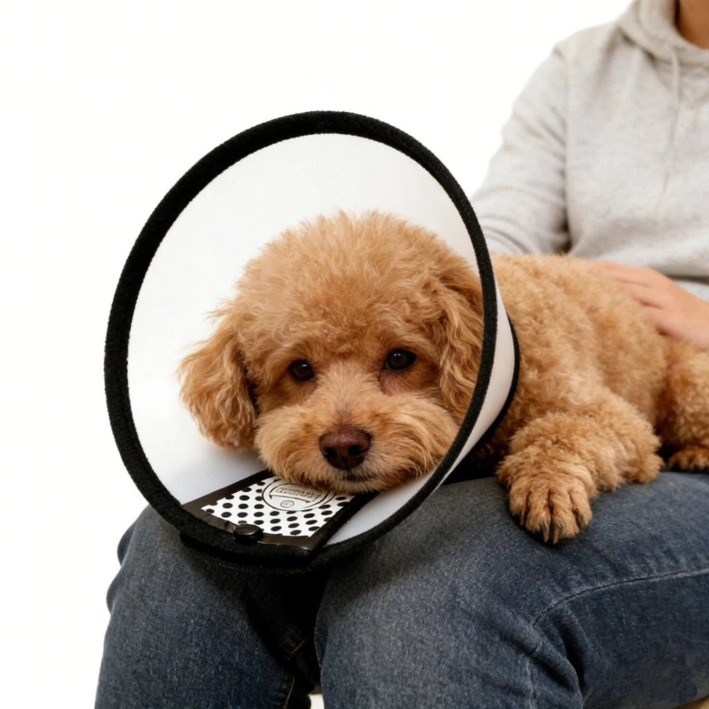 Collare Elisabettiano Regolabile per Cani e Gatti ¨C Minimal ¨C Antimorso Antileccata