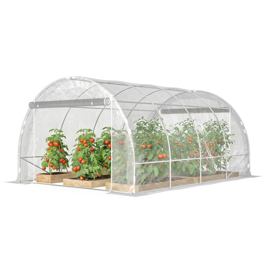 Serra Polytunnel ¨C Minimal ¨C Verde Trasparente 2x3x2m