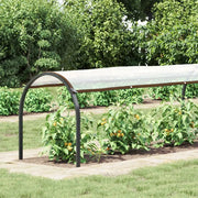 Telone Trasparente con Occhielli 1x10 m in Polietilene 4018545