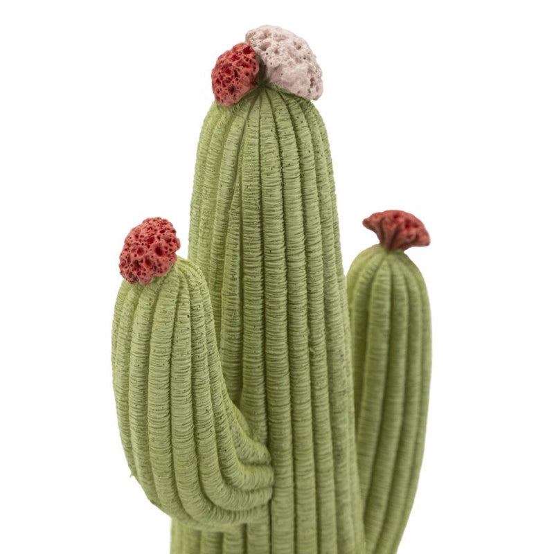 Cactus cm 13x7x25