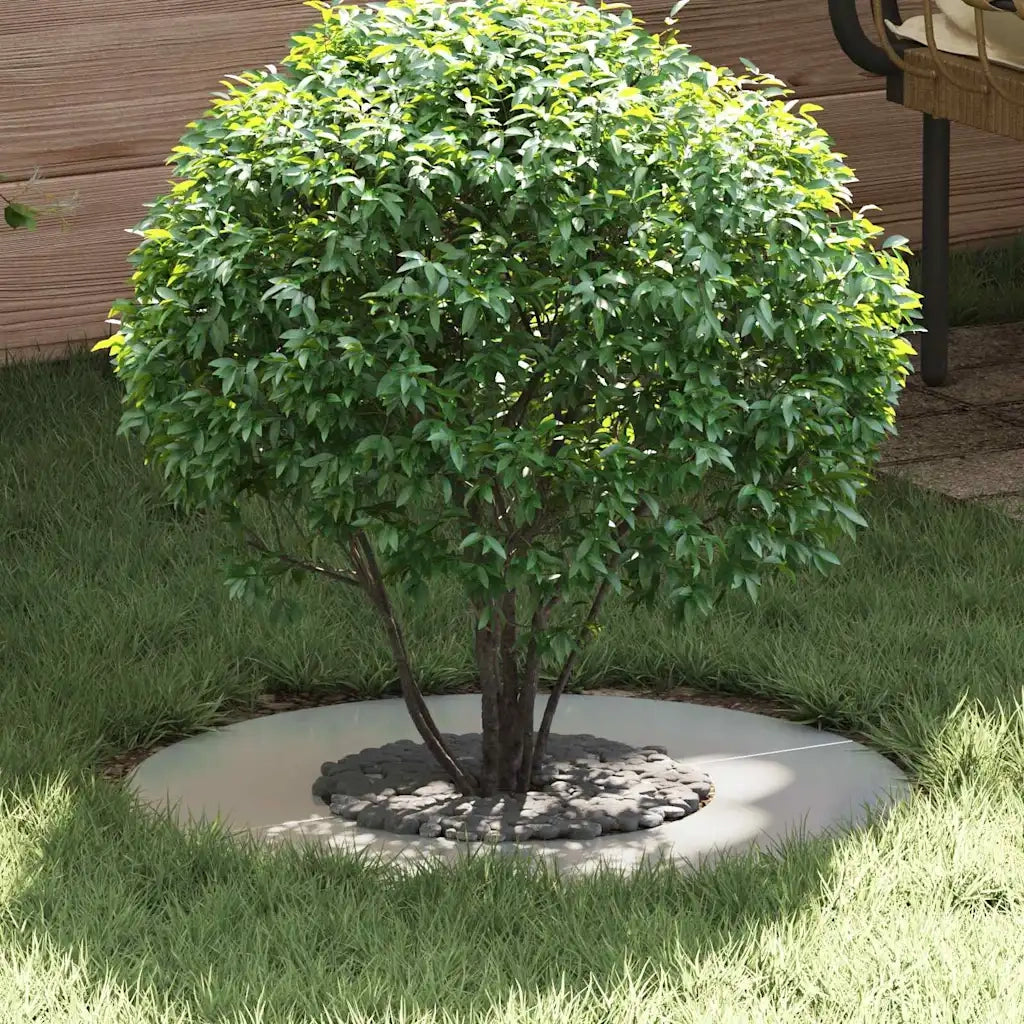 adatto per Anello d'Albero Piatto Argento Ø30/60 cm 873672