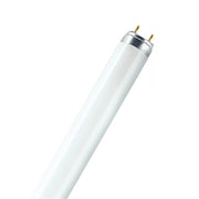 FLUORESCENTE LINEARE G13 L 18 W/954 18W 5400K