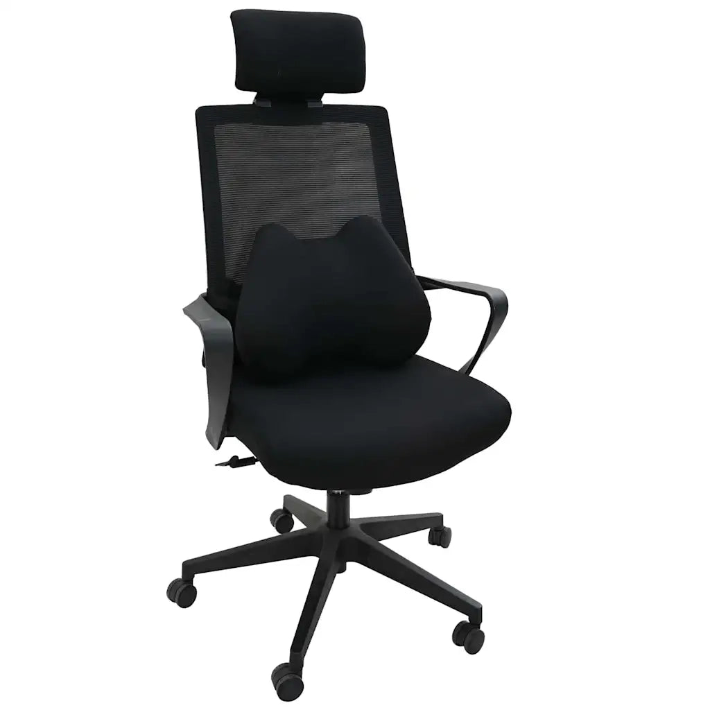 Cuscino lombare Nero Schiuma Memory 40 x 32 x 13 cm 42012710
