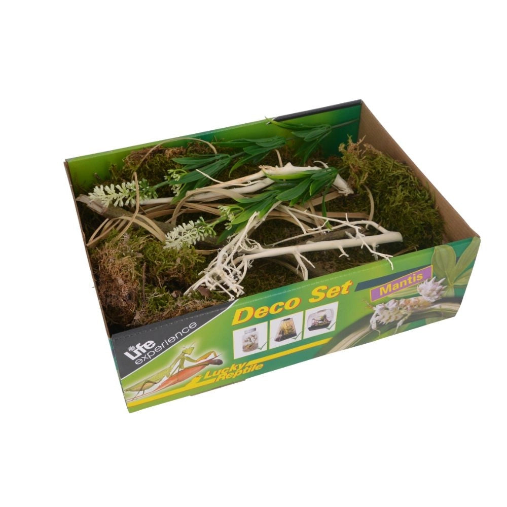 Lucky Reptile Life Experience Deco Set Mantis - Decorazioni Insetti Tropicali