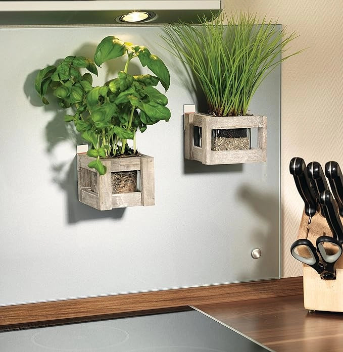 STRISCE 'POWERSTRIPS®' LARGE '10' 10 strisce - TESA