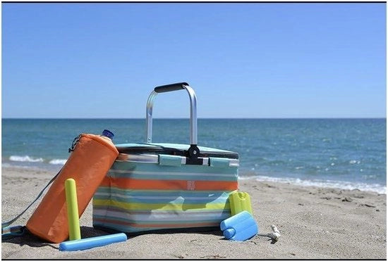 Borsa da picnic 20L Blu - Ideale per giornate estive